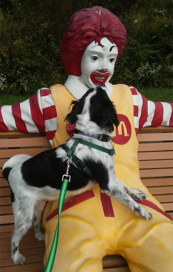 Bella with Ronald McDonald